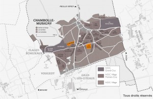 CHAMBOLLE-MUSIGNY-1er-CRU-